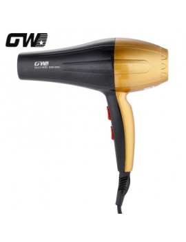 Guowei GW - 690 Hair Dryer